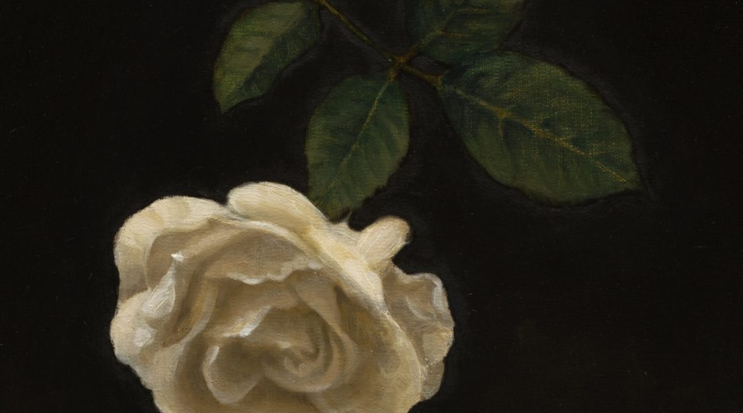 Ugaso_FlowerStillLife